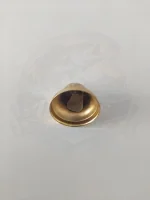 زنگوله ناقوسی کوچک 1